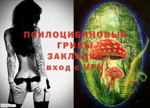 соль ск Абинск