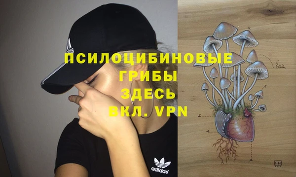 трава Абдулино