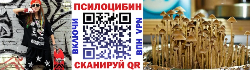 Галлюциногенные грибы ЛСД  Болгар 