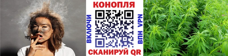 Марихуана сатива Болгар