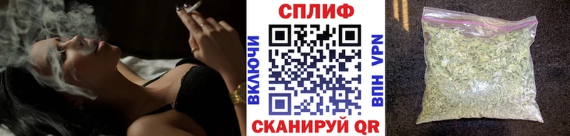 Конопля планчик  Болгар 